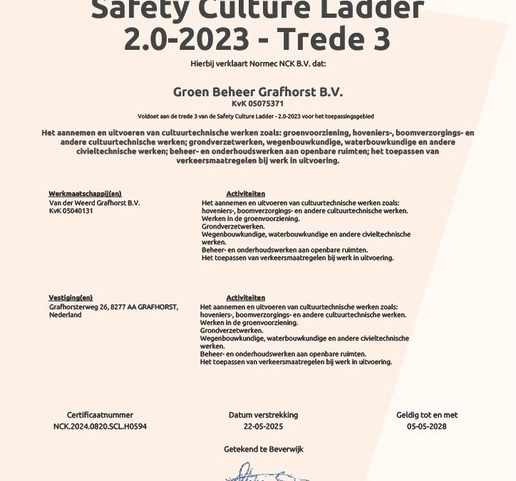 SCL Veiligheidsladder